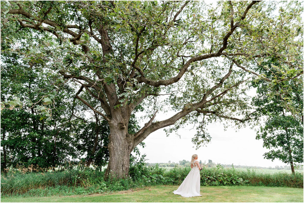 Summer bride under tree